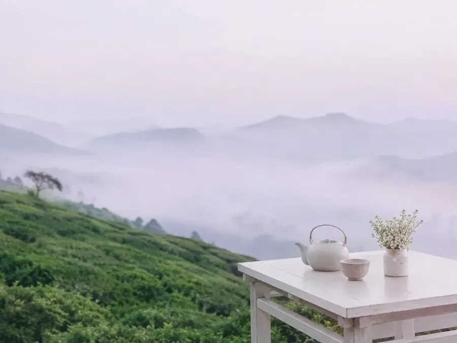 薄雾中的半山茶室与珍珠白木桌